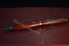 Pen20