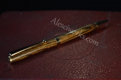 Pen21