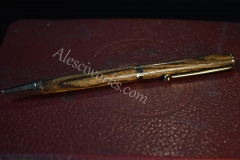 Pen22